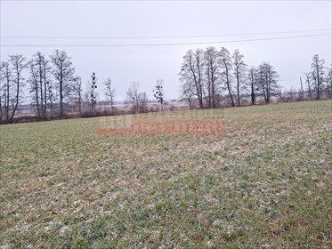 Działka budowlana 857 m2 w Prószkowie – media, dojazd działka Prószków