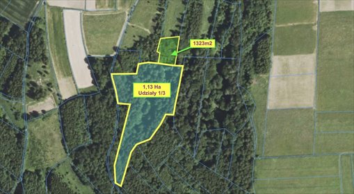 Działka rolna 1323 m² z drzewostanem w Hyżnem działka Hyżne