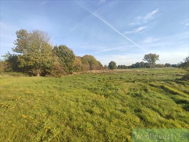 Działka 3633 m2 w Żarnowie – spokój i blisko natury działka Żarnowo
