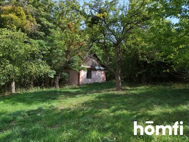 Klimatyczne siedlisko 3407 m² z tradycyjną zabudową dom Źrebce