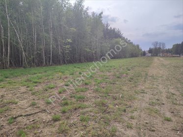 Działka budowlana 1200 m² w Adamowiznie – ciche otoczenie działka Adamowizna