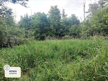 działka na sprzedaż 1500m2 działka Milanówek, Warszawska