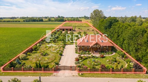 Działka 10200 m² z potencjałem inwestycyjnym (50 arów) działka Łęczna, Trębaczów