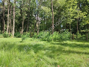 Podkowa Leśna - Przestronna działka 2585 m² z mediami działka Podkowa Leśna