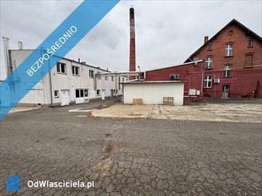 lokal użytkowy na sprzedaż 13586m2 lokal użytkowy Łambinowice