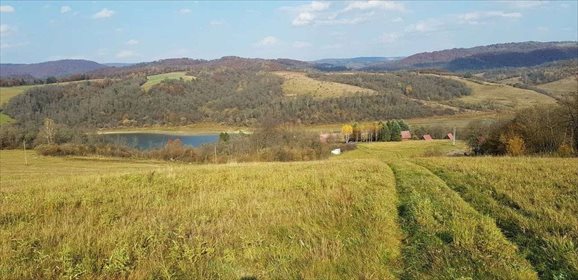 Działka inwestycyjna na sprzedaż Chrewt 29 900m2 Foto 3