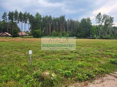 Działka 1573m2 pod dom i usługi, blisko S8 działka Wycinki Osowskie
