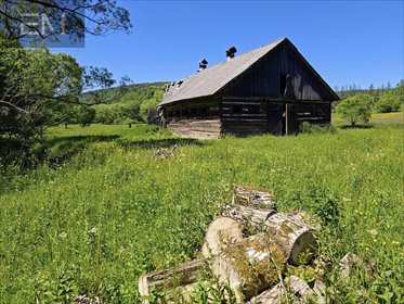 działka na sprzedaż 3287m2 działka Wańkowa