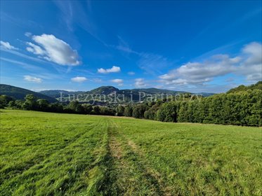 działka na sprzedaż 154751m2 działka Wojcieszów