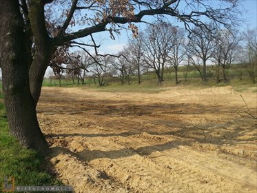 Działka bud.-rolna 14 000 m² z mediami - polecam działka Wola Więcławska