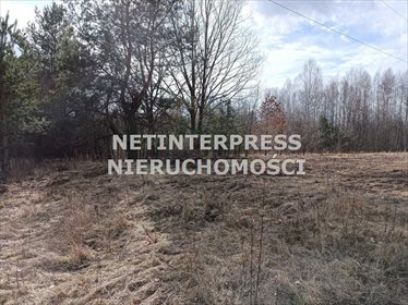 działka na sprzedaż 4600m2 działka Wołów