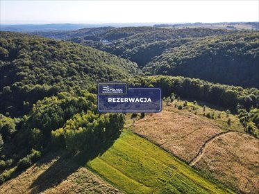 działka na sprzedaż 7800m2 działka Paczółtowice