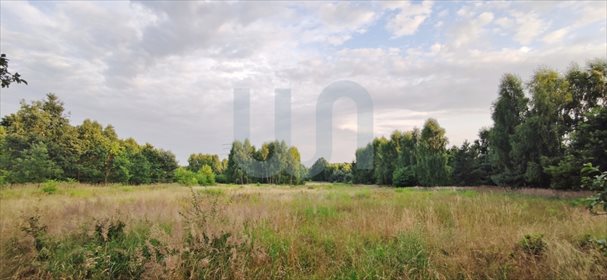 działka na sprzedaż 17740m2 działka Bargły