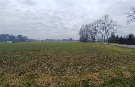 Działka budowlana na sprzedaż Ochaby Wielkie 15 747m2 Foto 6
