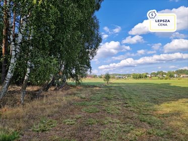 działka na sprzedaż 3776m2 działka Krynickie