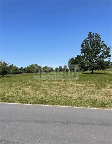 działka na sprzedaż 5100m2 działka Ojrzanów