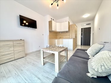 mieszkanie na wynajem 28m2 mieszkanie Wrocław, Śródmieście, Śrutowa