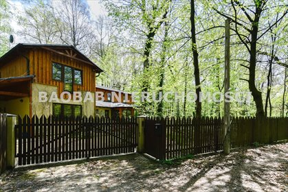 Dom na sprzedaż Podkowa Leśna, Podkowa Leśna Zachodnia, Kwiatowa 355m2 Foto 1