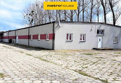 lokal użytkowy na sprzedaż 2100m2 lokal użytkowy Rybno