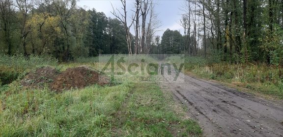 Polecam działkę 917 m² z mediami i lasem w Wólce działka Wólka