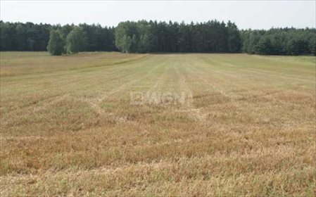 Działka budowlana na sprzedaż Sucha Górna, Sucha Górna 21 311m2 Foto 3