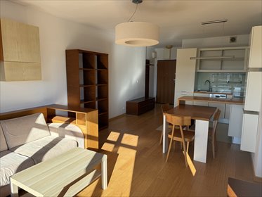 Wilanów - 54 m² - 2 pokoje z balkonem i miejscem parkingowym mieszkanie Warszawa, Wilanów, Aleja Wilanowska