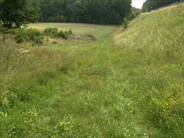 Działka budowlana na sprzedaż Borowo 2 049m2 Foto 7