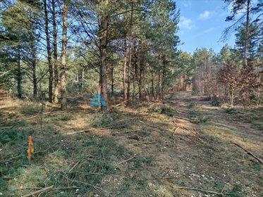 działka na sprzedaż 1000m2 działka Bukowiny