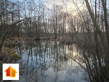 działka na sprzedaż 3368m2 działka Strzałki