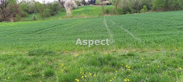 działka na sprzedaż 1973m2 działka Chmielnik, Błędowa Tyczyńska