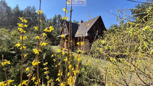 Urokliwy dom nad jeziorem Głębokim w Kaszubach dom Świeszyno