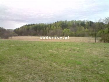 Działka budowlana na sprzedaż Frywałd 25 000m2 Foto 4