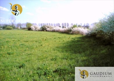 Działka budowlana na sprzedaż Wola Miedniewska 12 200m2 Foto 3