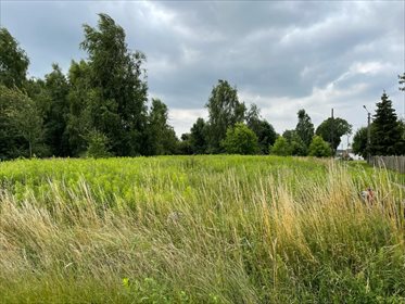Działka budowlana na sprzedaż Biskupice Oławskie 1 090m2 Foto 2