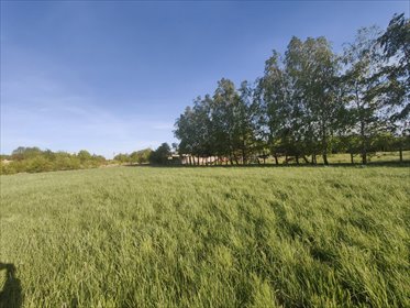 działka na sprzedaż 1100m2 działka Stefanowo, Stefanowo, Letniskowa
