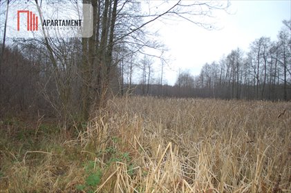 Na sprzedaż działka 13 800 m² z lasem i stawem w Sarnowie działka Sarnowo