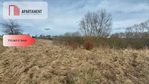 działka na sprzedaż 3006m2 działka Kiełpin