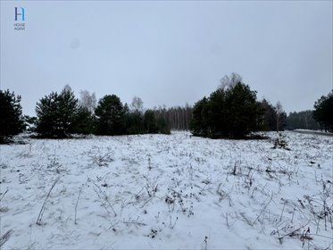 działka na sprzedaż 27100m2 działka Iwonie