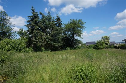 Magazyn na sprzedaż Baczyna 640m2 Foto 4