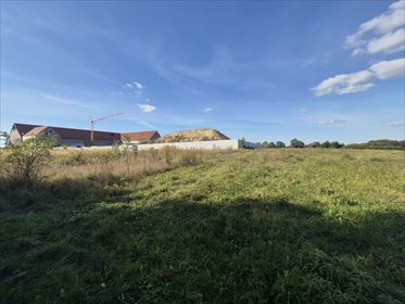 Działka 27 616 m² w Wilanowie (teren usług oświaty) działka Warszawa, Wilanów, Powsin, Zakamarek