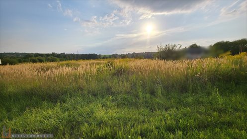 działka na sprzedaż 6198m2 działka Zielonki