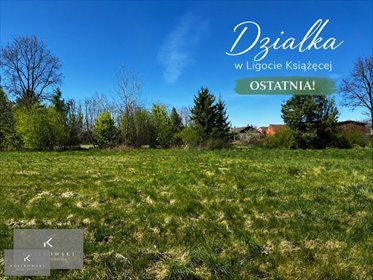 Działka budowlana 1200 m² w Ligocie Książęcej - spokojna okolica działka Namysłów, Ligota Książęca, 3655, Ligota Książęca