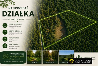 Działka 1,85 ha z lasami i rekreacją – Łazy Małe działka Łazy Małe