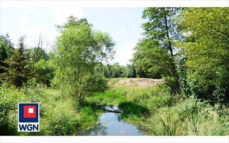 Działka 4900 m² w Zawadzie (las, rzeczka, spokojna okolica) działka Zawada, Zawada, Botaniczna