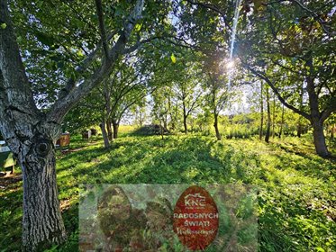 działka na sprzedaż 3024m2 działka Smugi