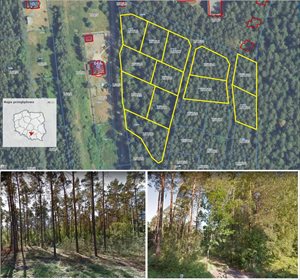 działka na sprzedaż 10800m2 działka Borków, Borków