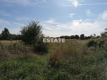 Inwestycyjna działka 6 024 m² z mediami, spokojna okolica działka Zgierz, Aleksandrowska