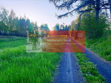 działka na sprzedaż 3200m2 działka Zemborzyce Podleśne