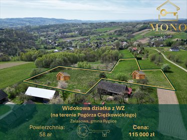 Malownicza działka 58 ar z widokiem na góry i lasy działka Zalasowa