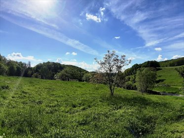 działka na sprzedaż 1334m2 działka Cieszów